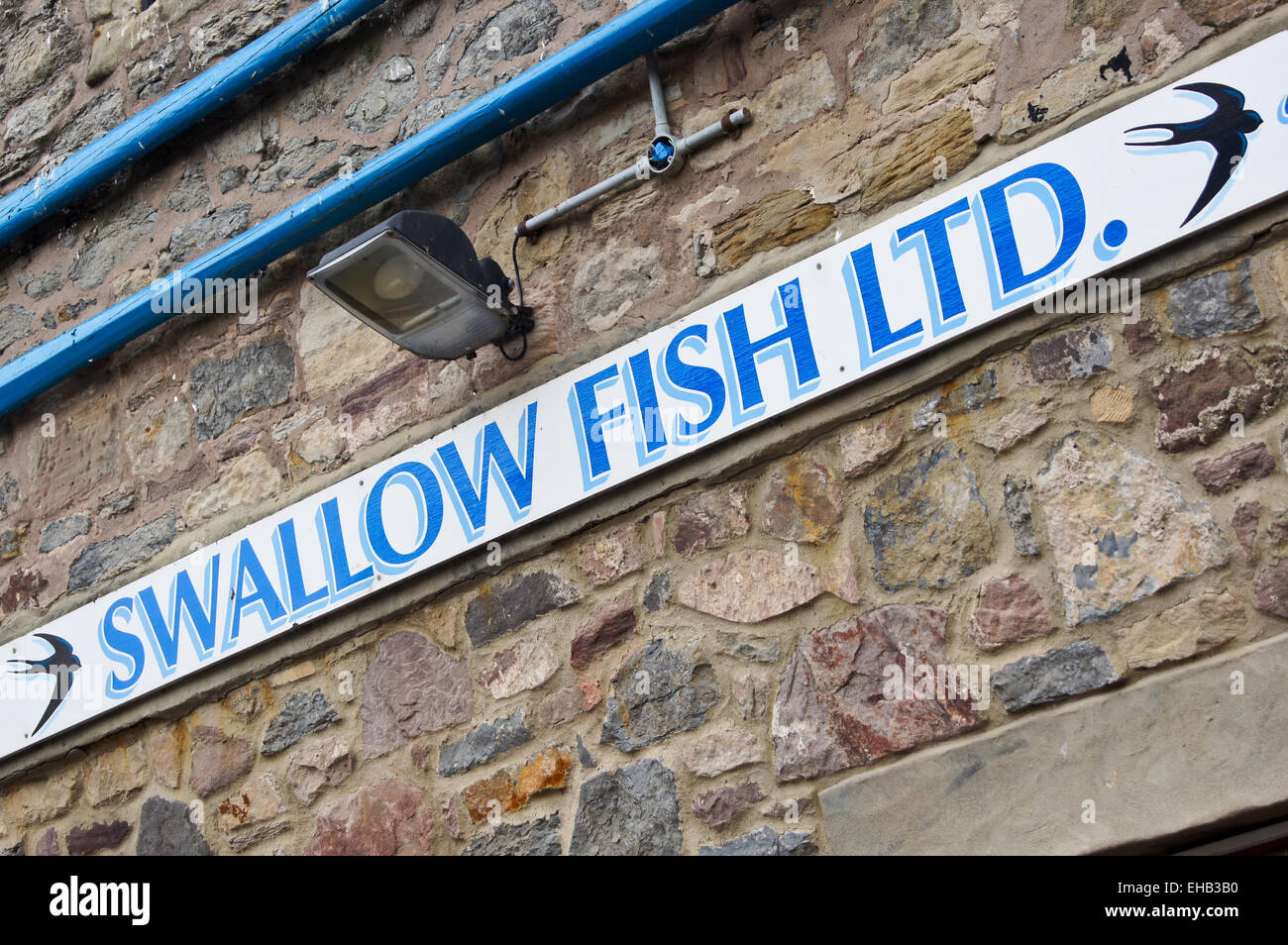 swallow-fish-ltd-smokehouse-seahouses-northumberland-england-stock