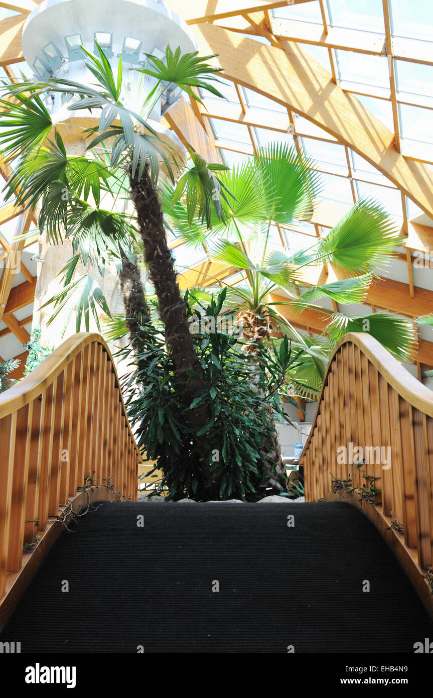 tropical restaurant indoor Stock Photo - Alamy