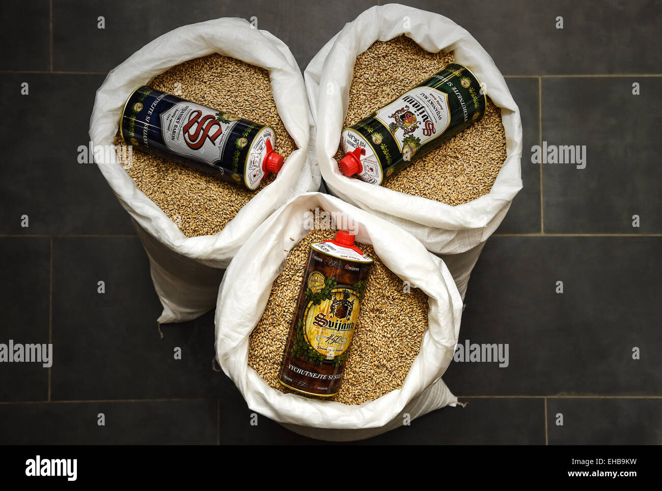 Svijany, Czech Republic. 11th Mar, 2015. Brewery Svijany presents new 2-litre light environment friendly beer cans in Svijany, Czech Republic, on Wednesday, March 11, 2015. © Radek Petrasek/CTK Photo/Alamy Live News Stock Photo