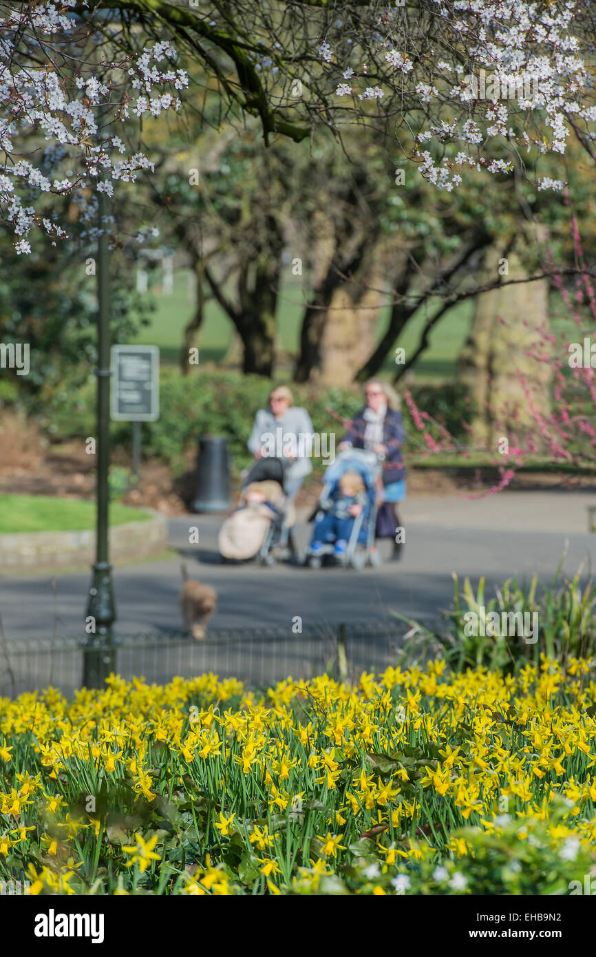 Child Buggies High Resolution Stock Photography and Images - Alamy