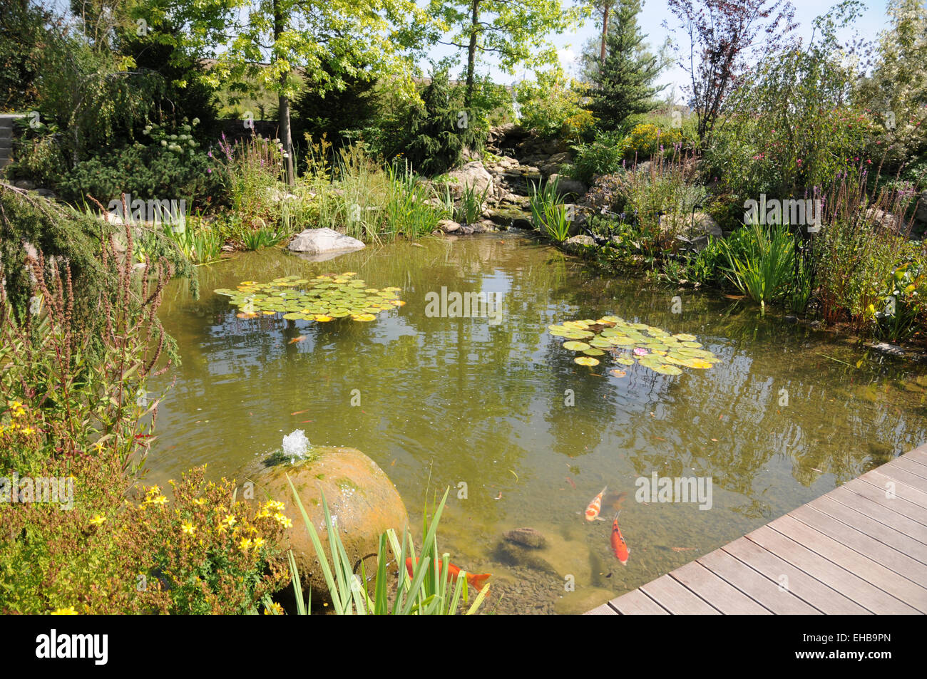 Koi-pond with bubbling water Stock Photo