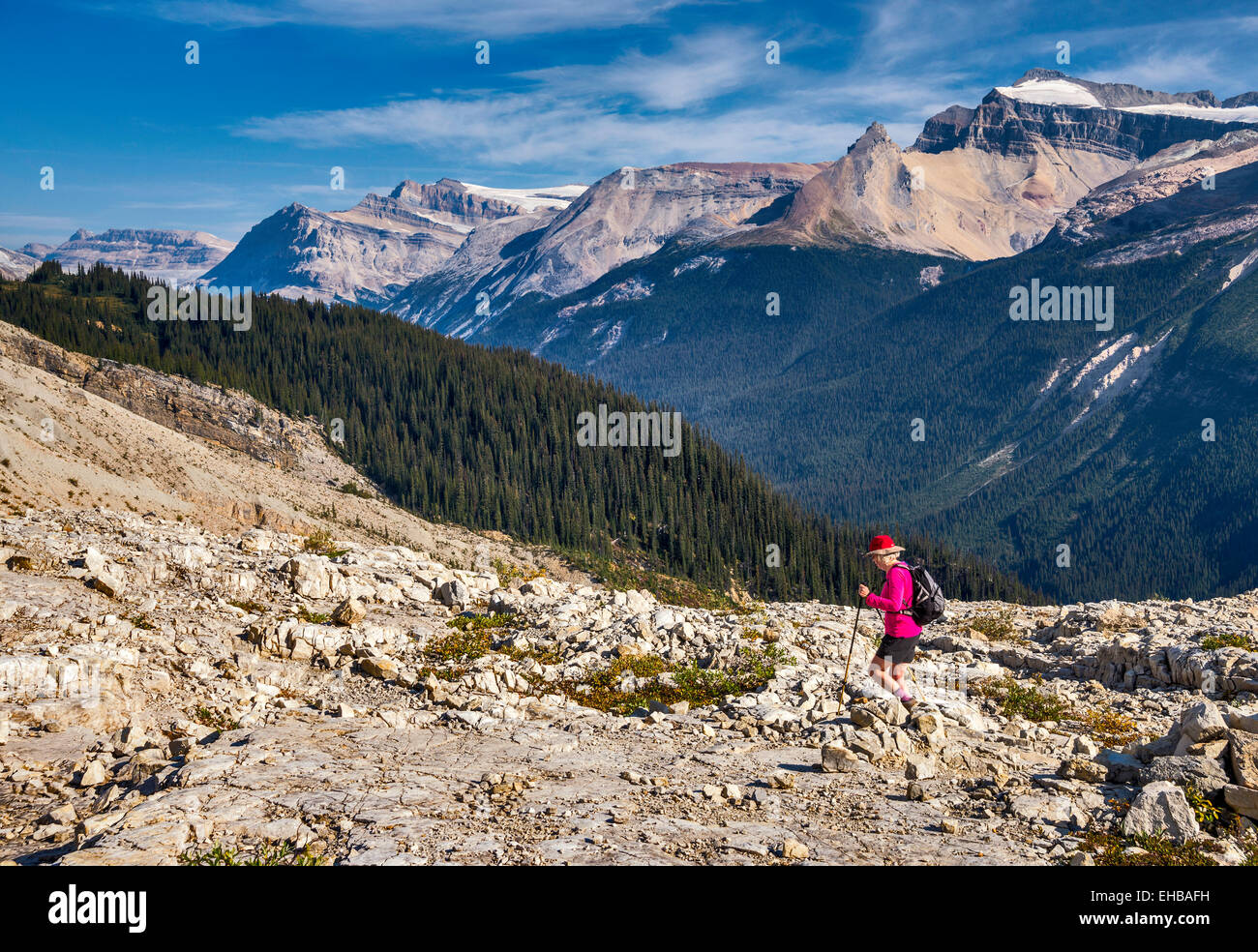 Hiking main range national park hi-res stock photography and images - Alamy