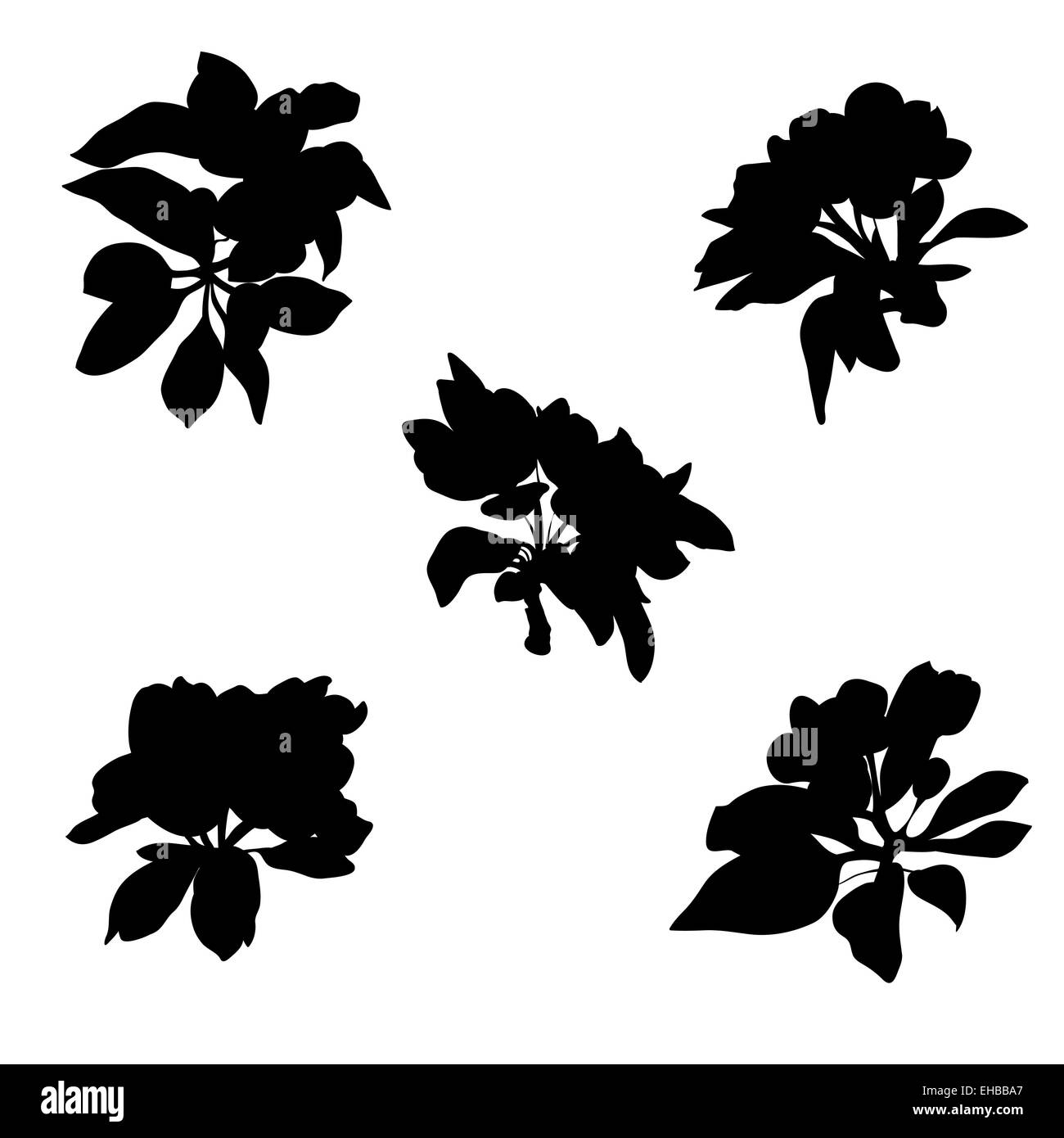 apple flowers silhouettes Stock Photo