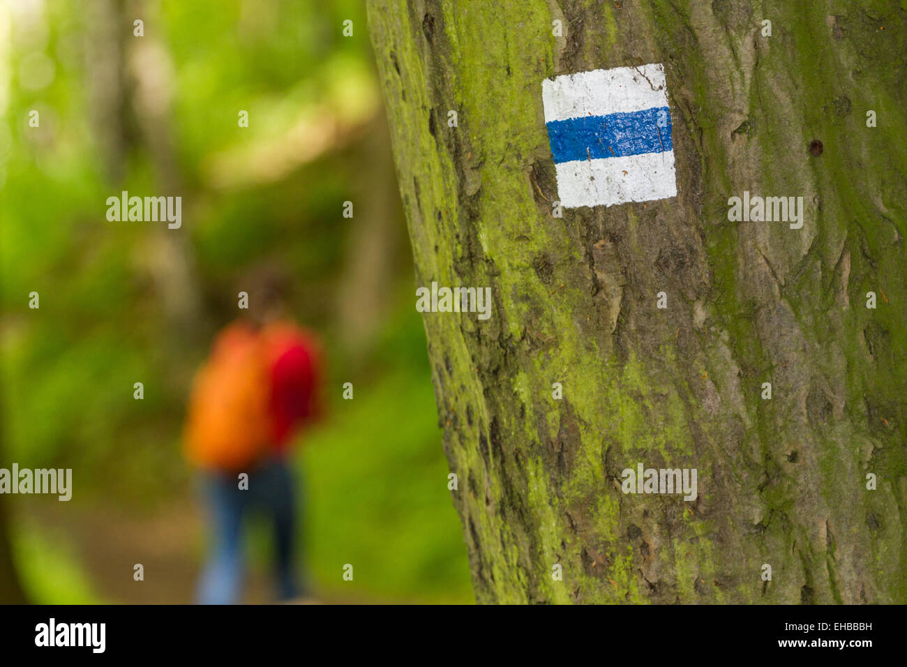 Trekking sign on a tree with hiker Stock Photo - Alamy