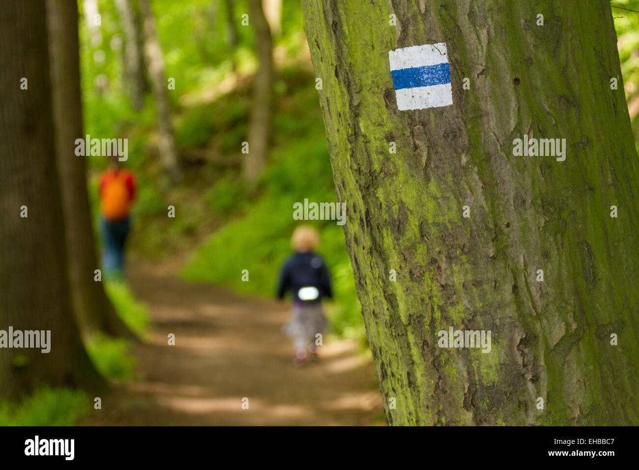 Trekking sign on a tree with Family hiking Stock Photo - Alamy