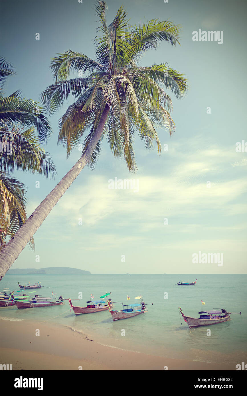 Vintage toned palm trees on a beach, summer background. Stock Photo