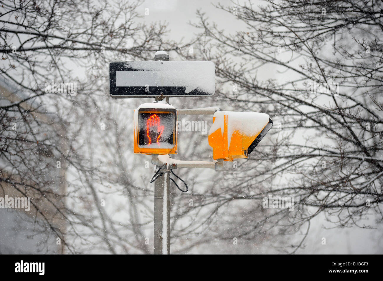 A one-way sign and a pedestrian crossing signal obscured by snow in London, Ontario in Canada. Stock Photo