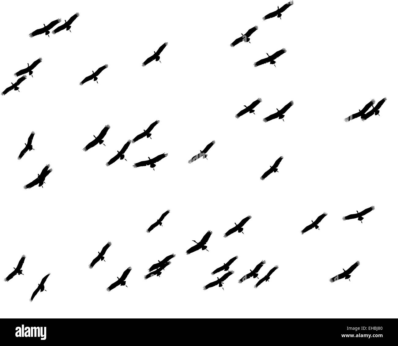 A graphical composition of a flock of storks, silhouetted against the sky. Stock Photo