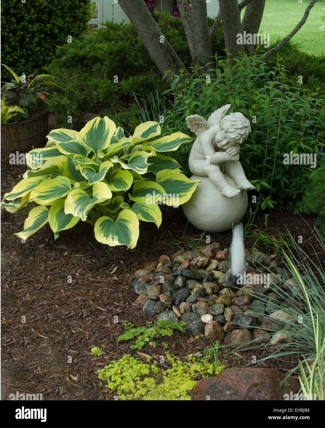Hosta Liberty in shade garden with ornament and water fountain Stock Photo