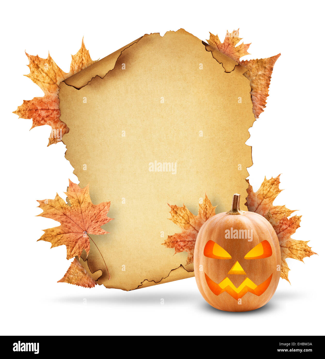 Spotted pumpkin Cut Out Stock Images Pictures Alamy