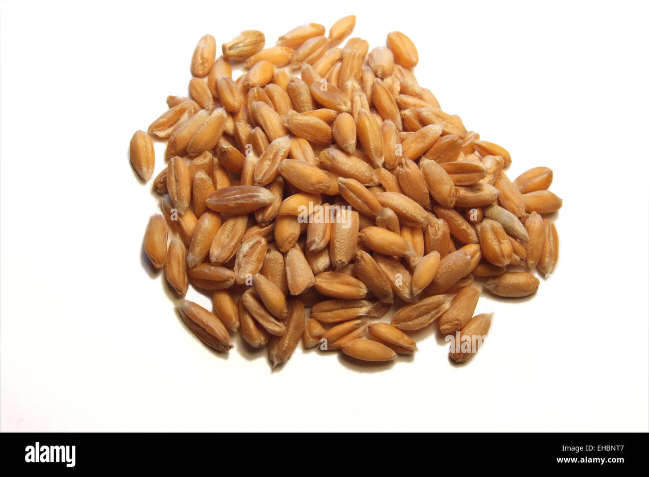 Cereal grains Stock Photo