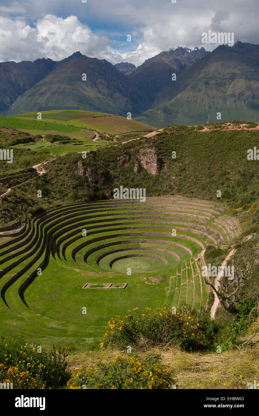 Moray peru hi-res stock photography and images - Alamy