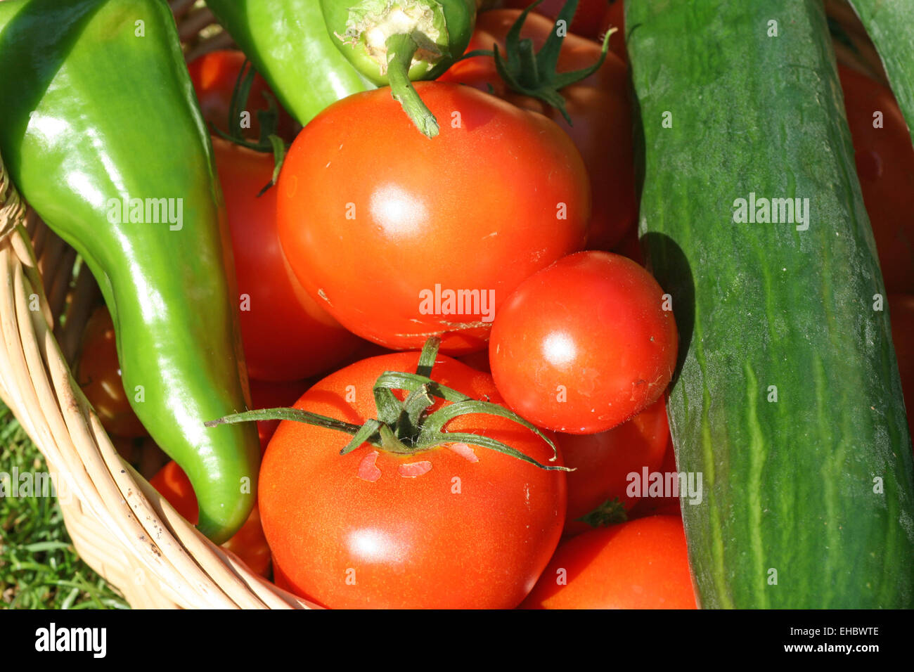 Tomate gemüsegarten hires stock photography and images Alamy