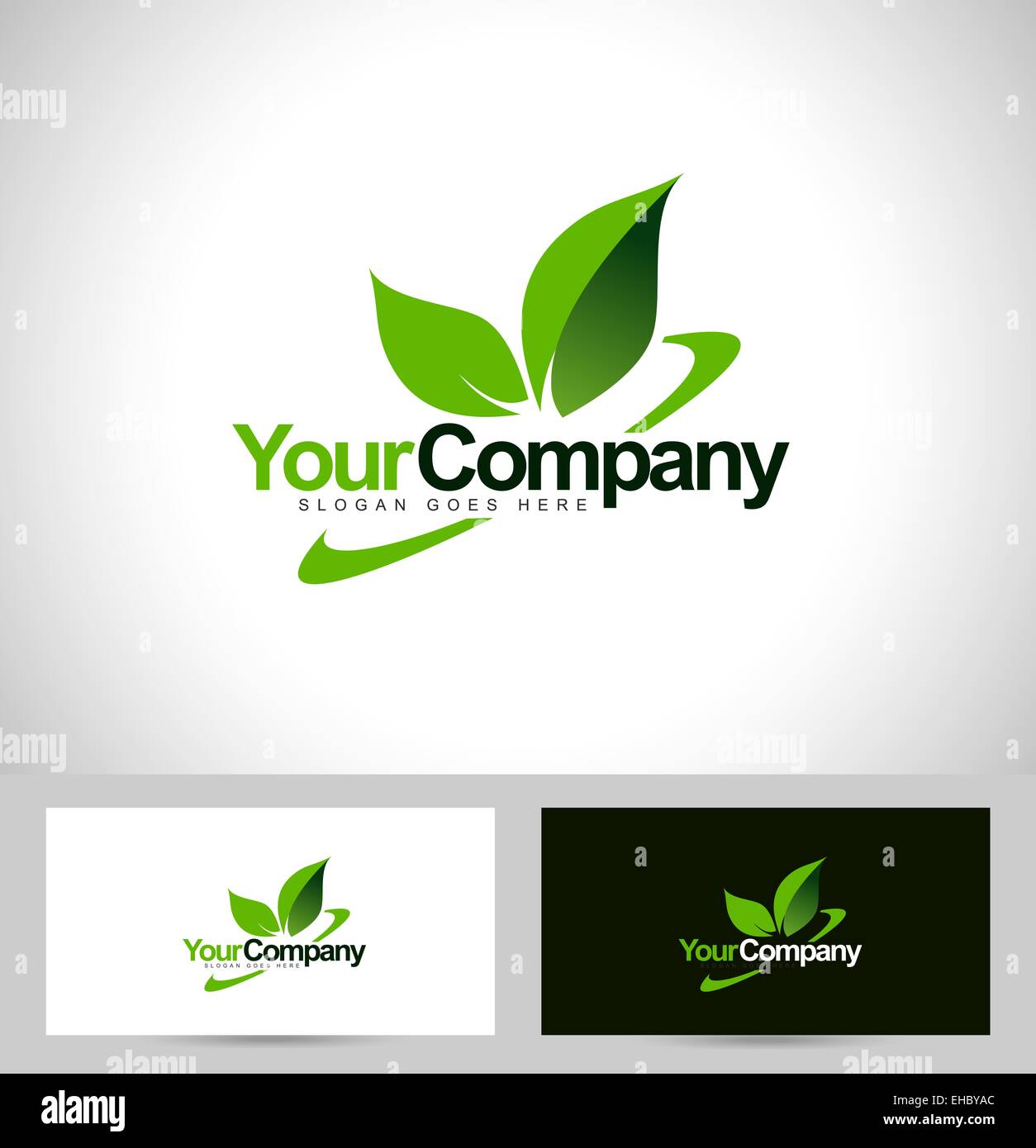 Green leaf logo vector with swash and company name text Stock Photo