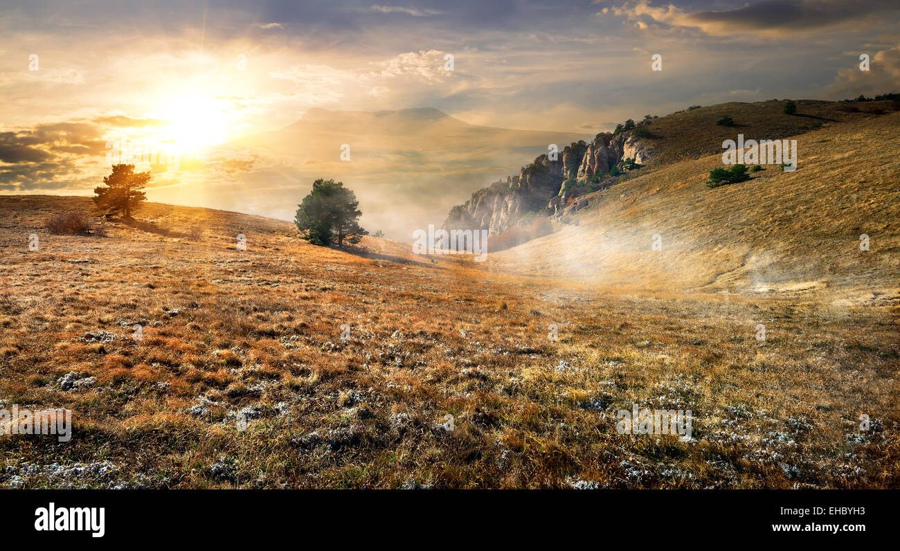 Dry autumn grass in forest hi-res stock photography and images - Alamy
