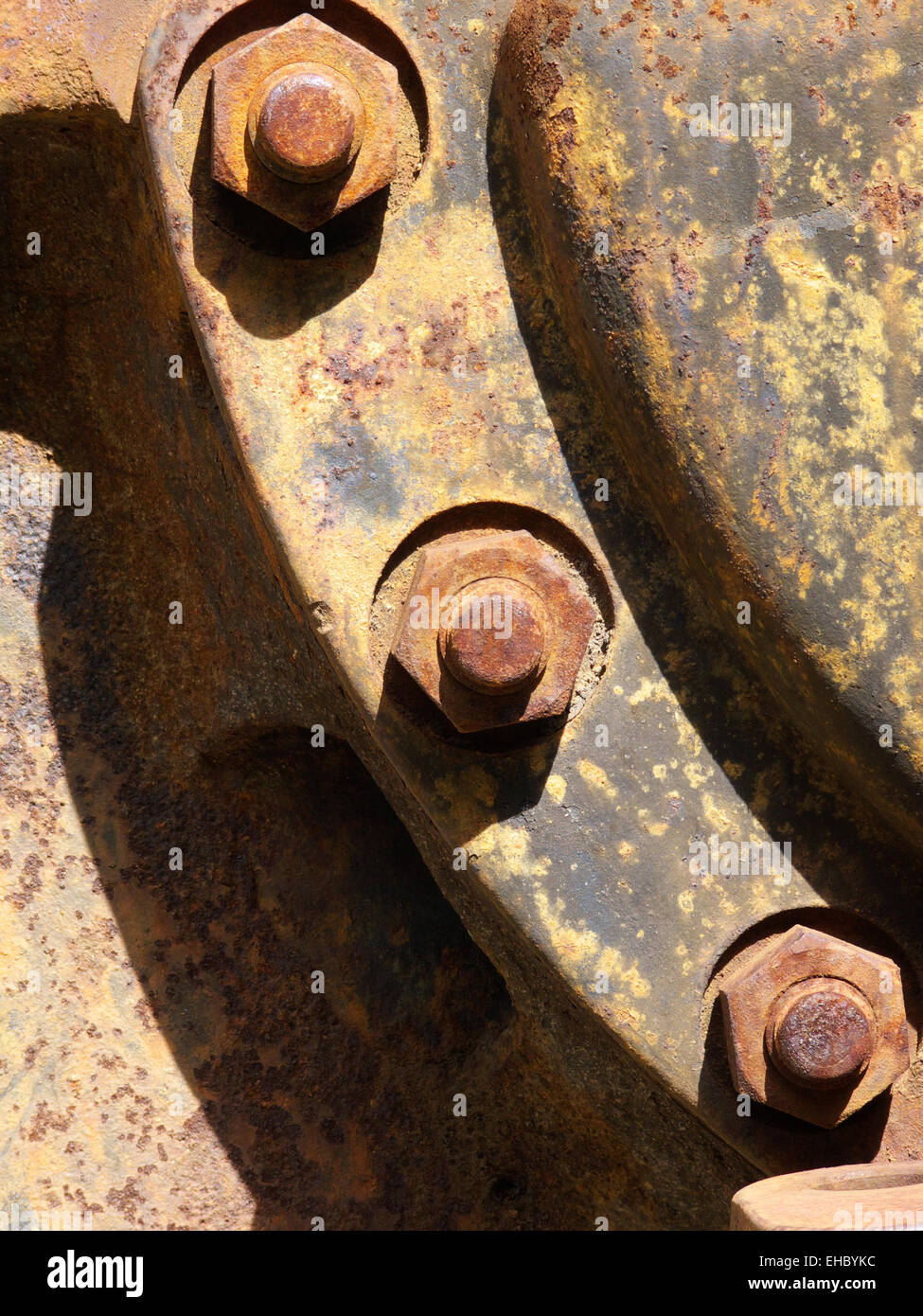 Tree rusty screws Stock Photo Alamy
