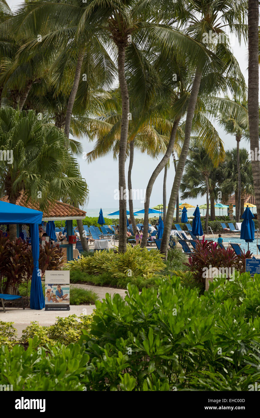 Island resort Rio Mar Puerto Rico Stock Photo Alamy