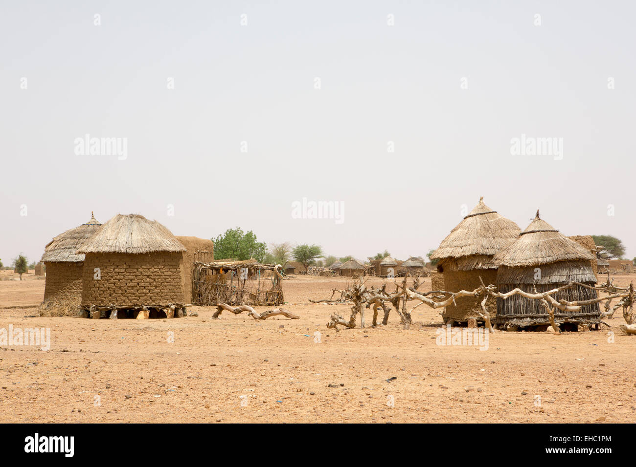Djagourou vilage, Tera, west Niger; village grain stores and houses.  Everyone is indoors in the fierce mid-day heat. Stock Photo