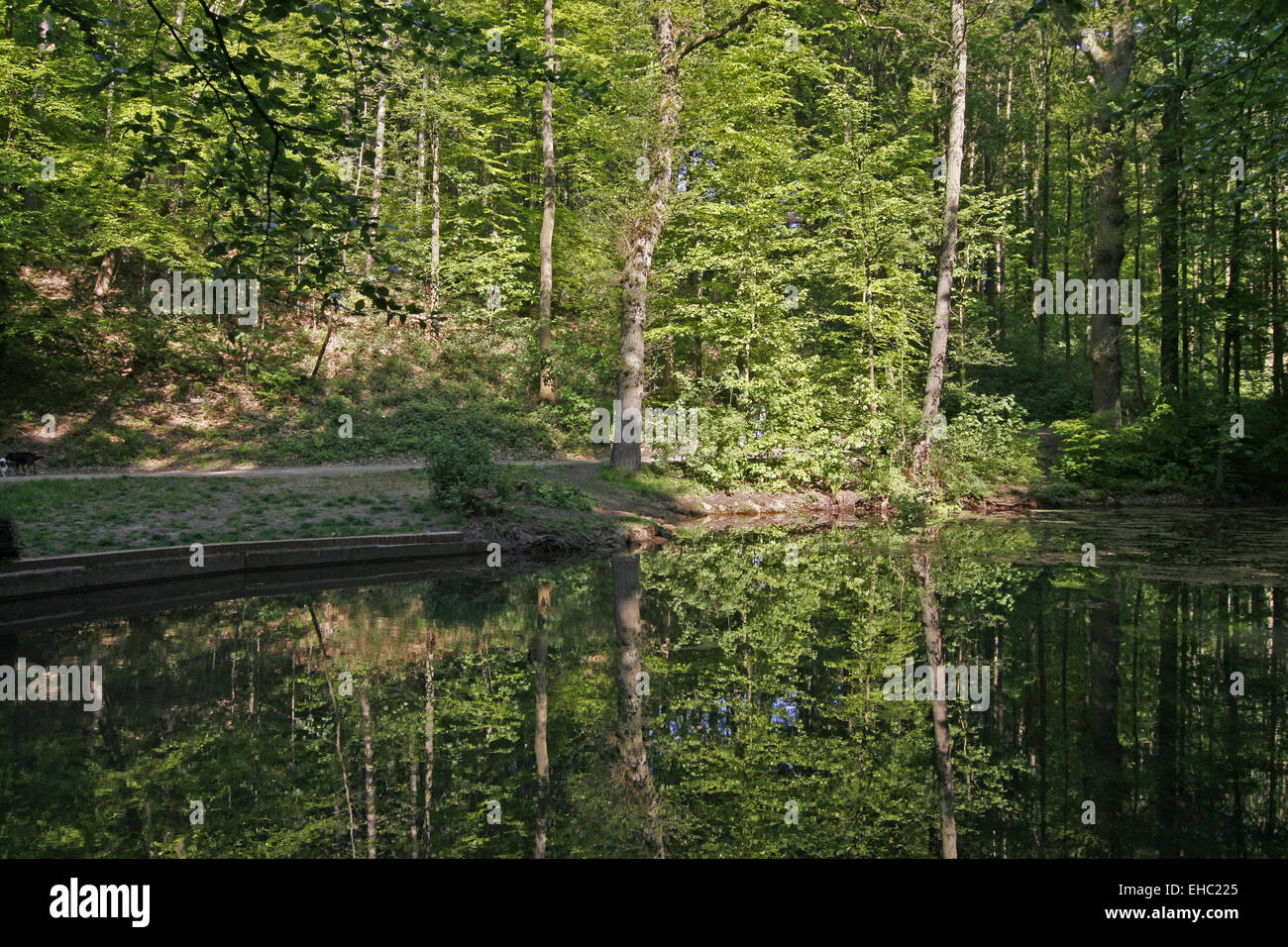 Kasinopark hi res stock photography and images Alamy