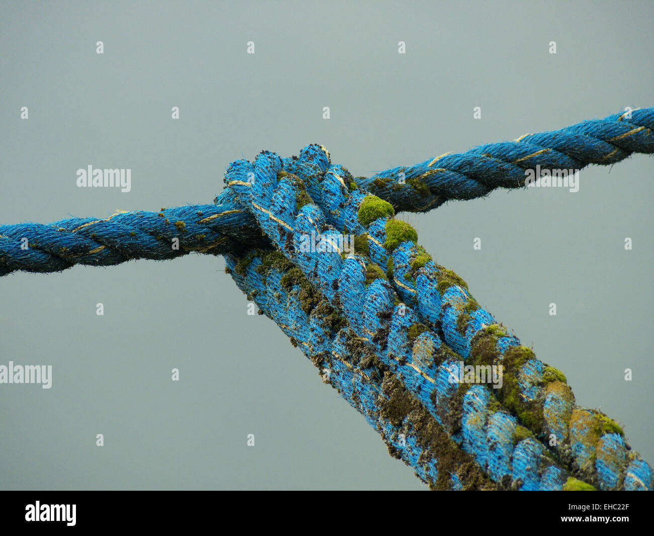Mossy rope Stock Photo