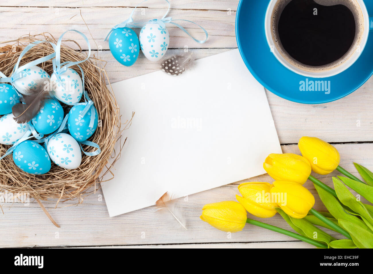 Easter background with blue and white eggs in nest, yellow tulips and ...