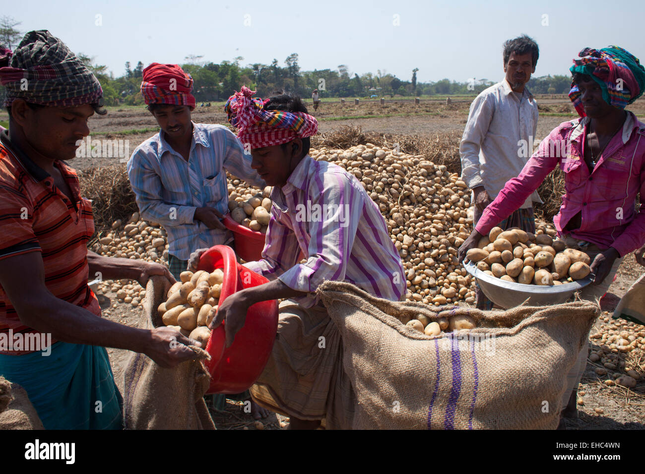 Asian farmer carrying crops on hi-res stock photography and images - Alamy