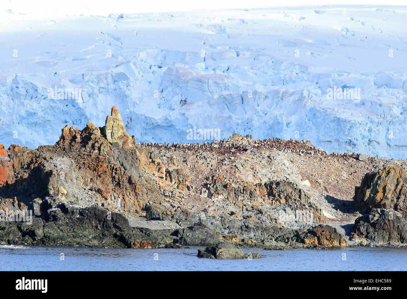 Antarctica landscape with glaciers and ice. Chinstrap penguins colony. Half Moon Island, South Shetland Islands. Stock Photo