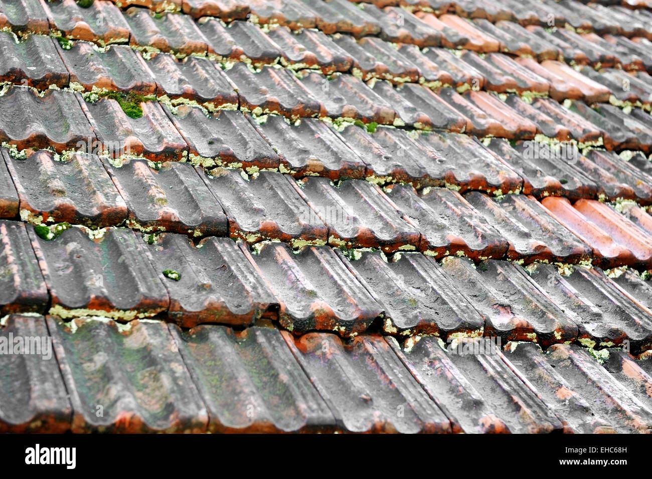 Architecture detail shot with an old tile roof with moss Stock Photo