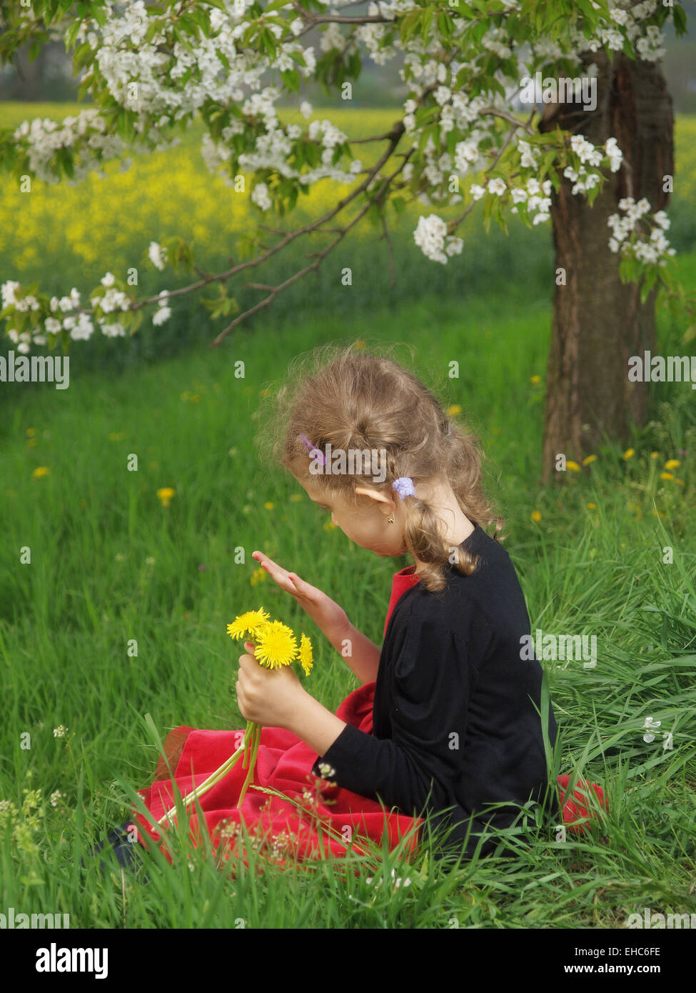 Outdoor little girl with bouquet of dandelions Stock Photo - Alamy