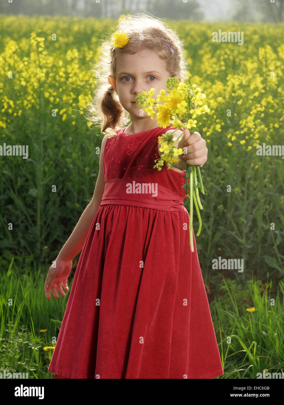 Outdoor little girl with bouquet of dandelions Stock Photo - Alamy