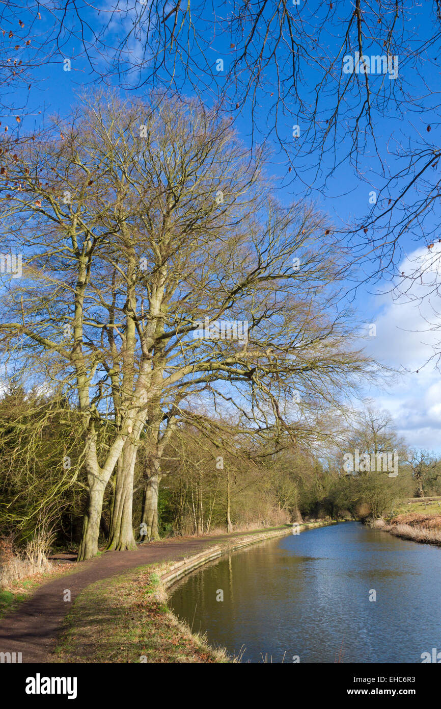 Staffordshire and Worcestershire Canal, Kinver, Staffordshire, England, UK in Winter Stock Photo