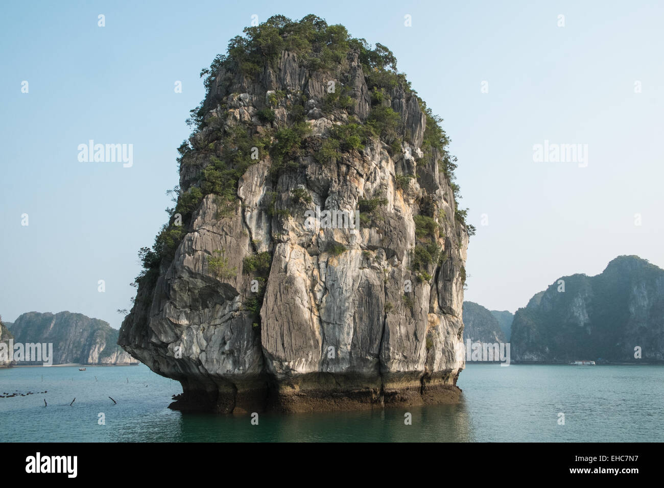 Limestone karst in Cat Ba National Park,Ha long,Halong Bay, Vietnam Stock Photo