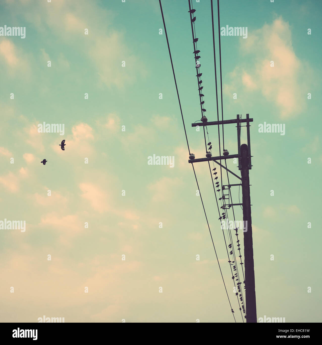 My Image 22