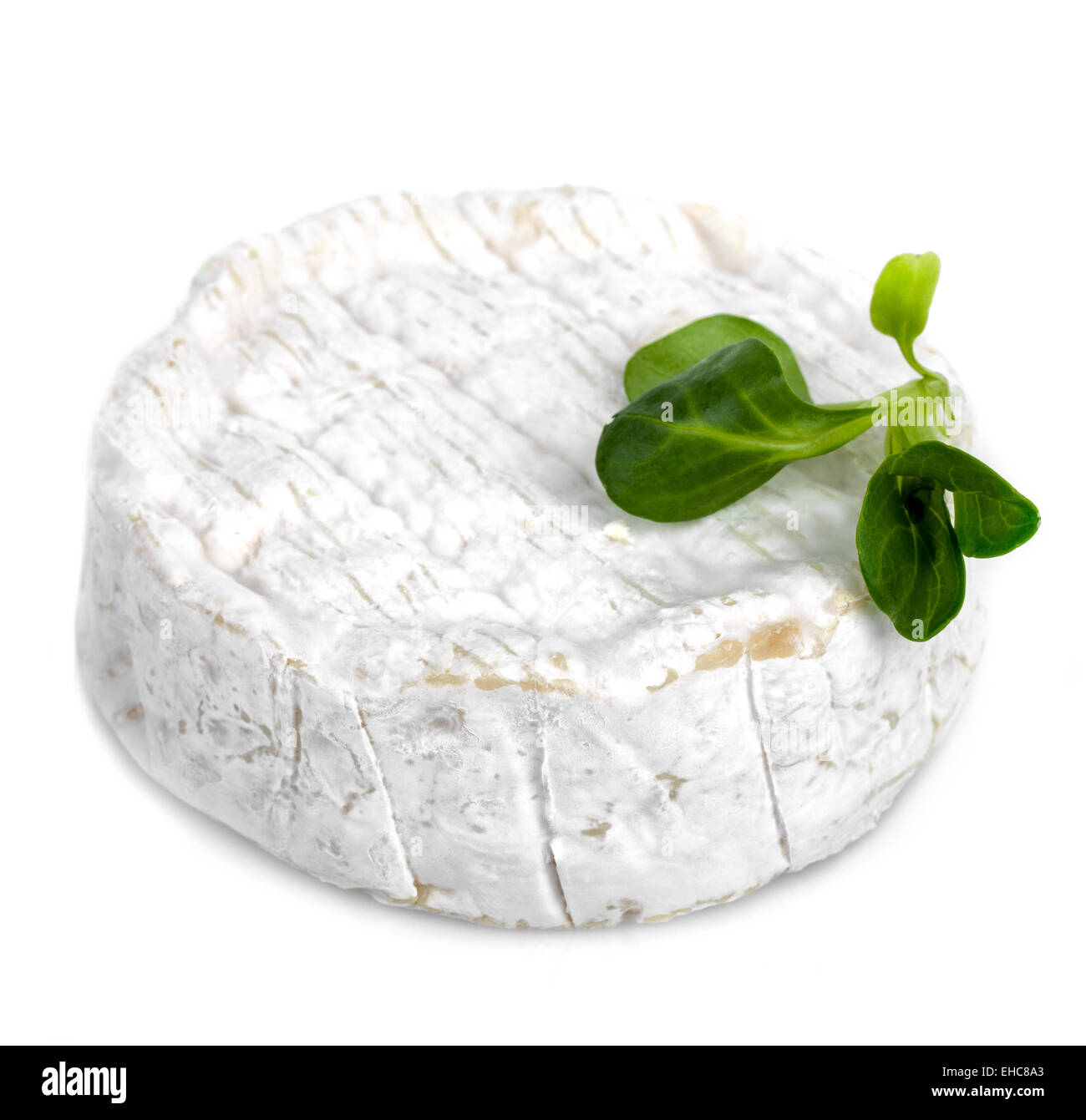 Camembert Cheese Isolated Stock Photo Alamy