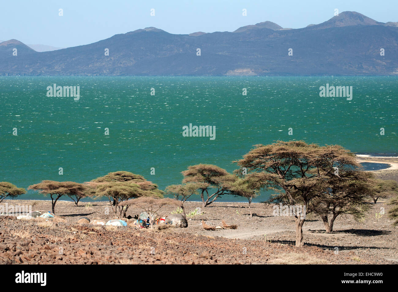 A Turkana village close to Lake Turkana green waters, Loiyangalani area, Kenya Stock Photo