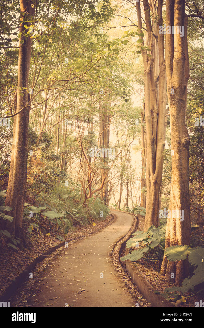 path in the park vintage retro Stock Photo - Alamy