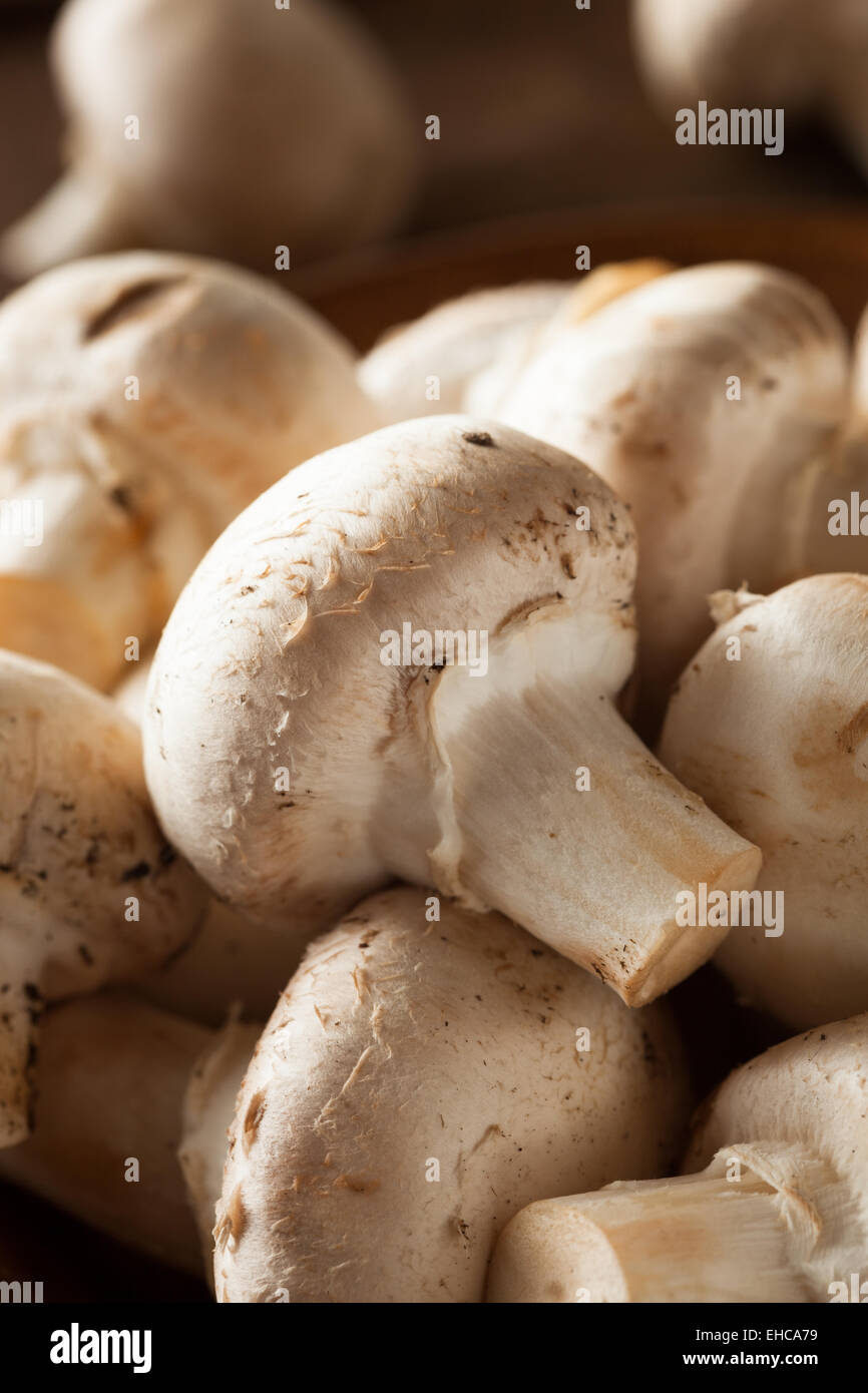 Edible mushroom vegetables hires stock photography and images Alamy