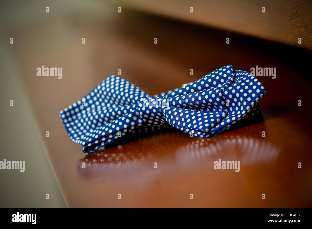 Blue bow tie with polka dots Stock Photo - Alamy