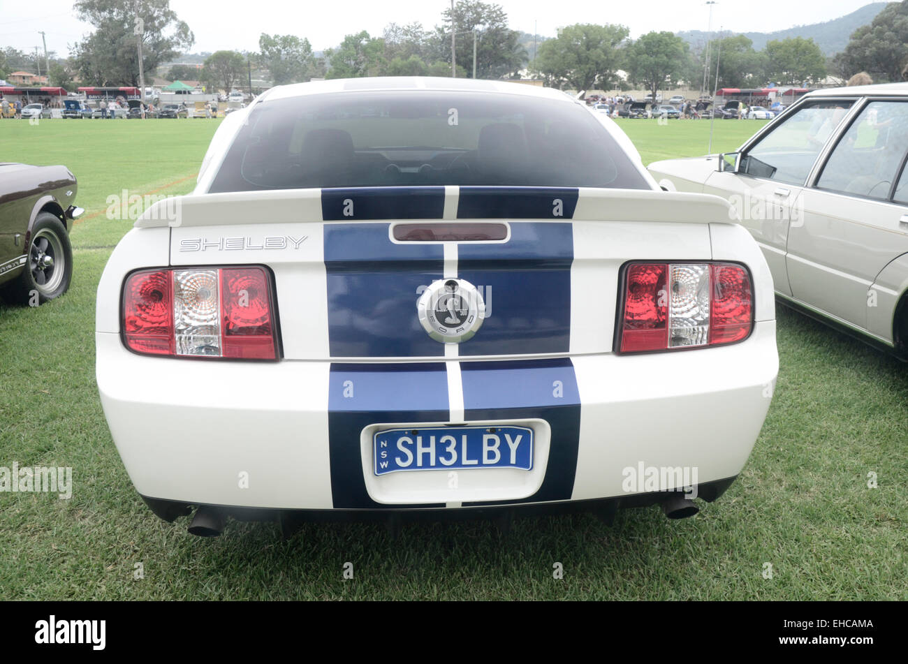 2007 Ford Mustang Shelby GT 500 on display Tamworth Australia Stock Photo