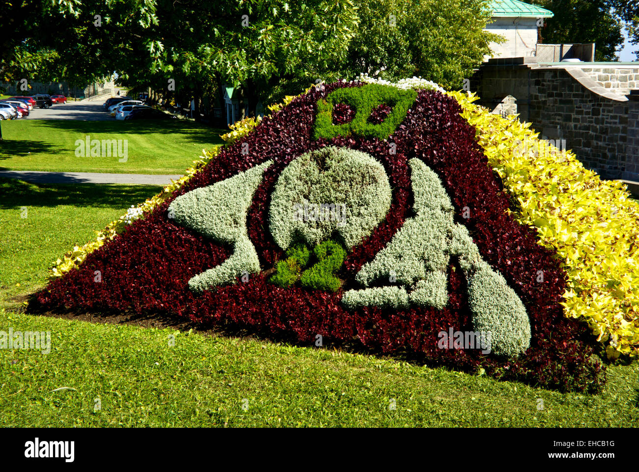 Plant display showing the beaver mascot of the 22nd French Canadian Regiment La Citadelle Quebec City Stock Photo