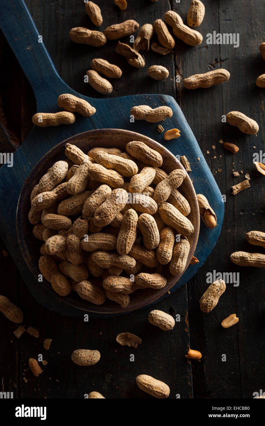 Salted Roasted Shelled Peanuts Ready to Eat Stock Photo Alamy