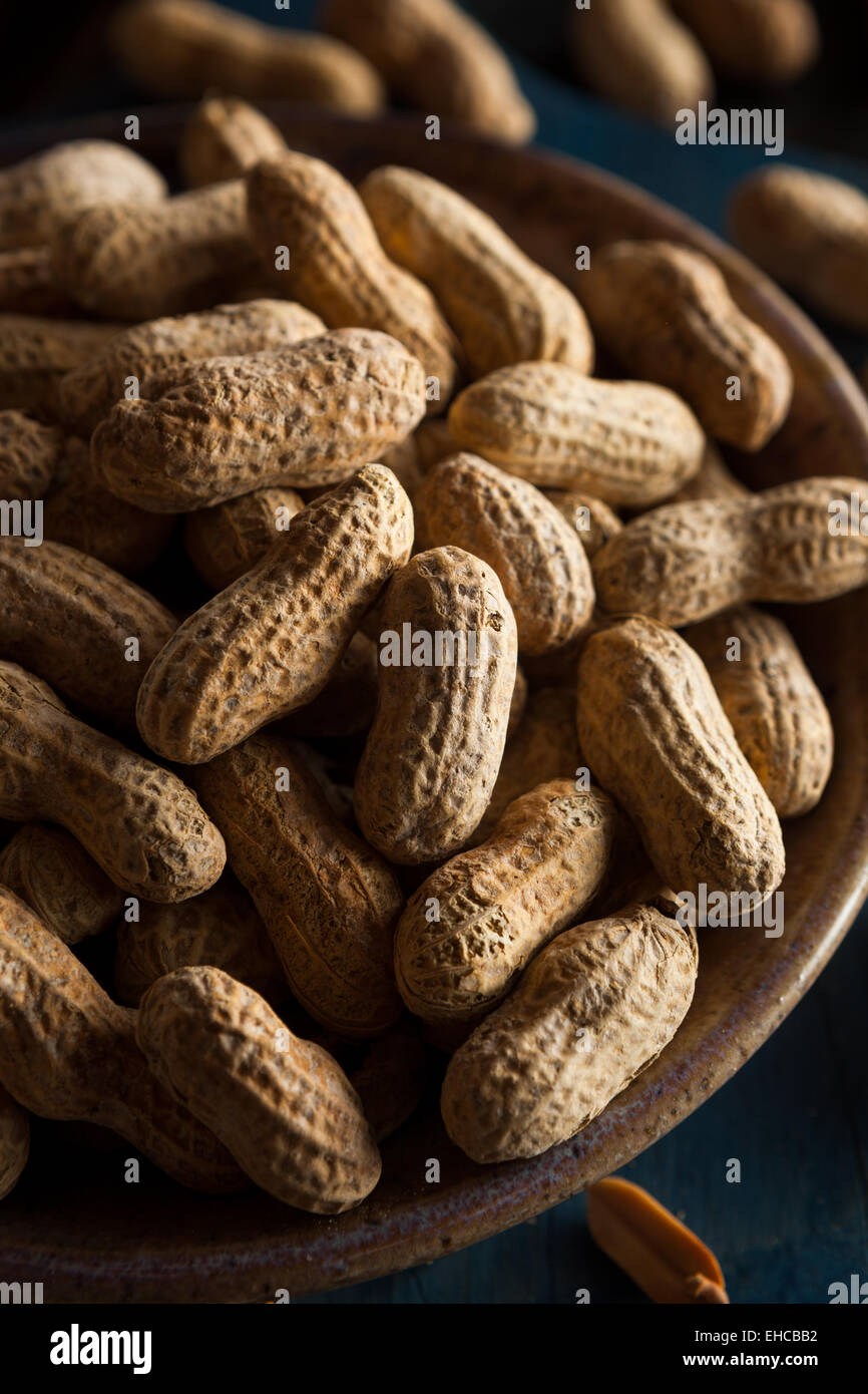 Salted Roasted Shelled Peanuts Ready to Eat Stock Photo Alamy