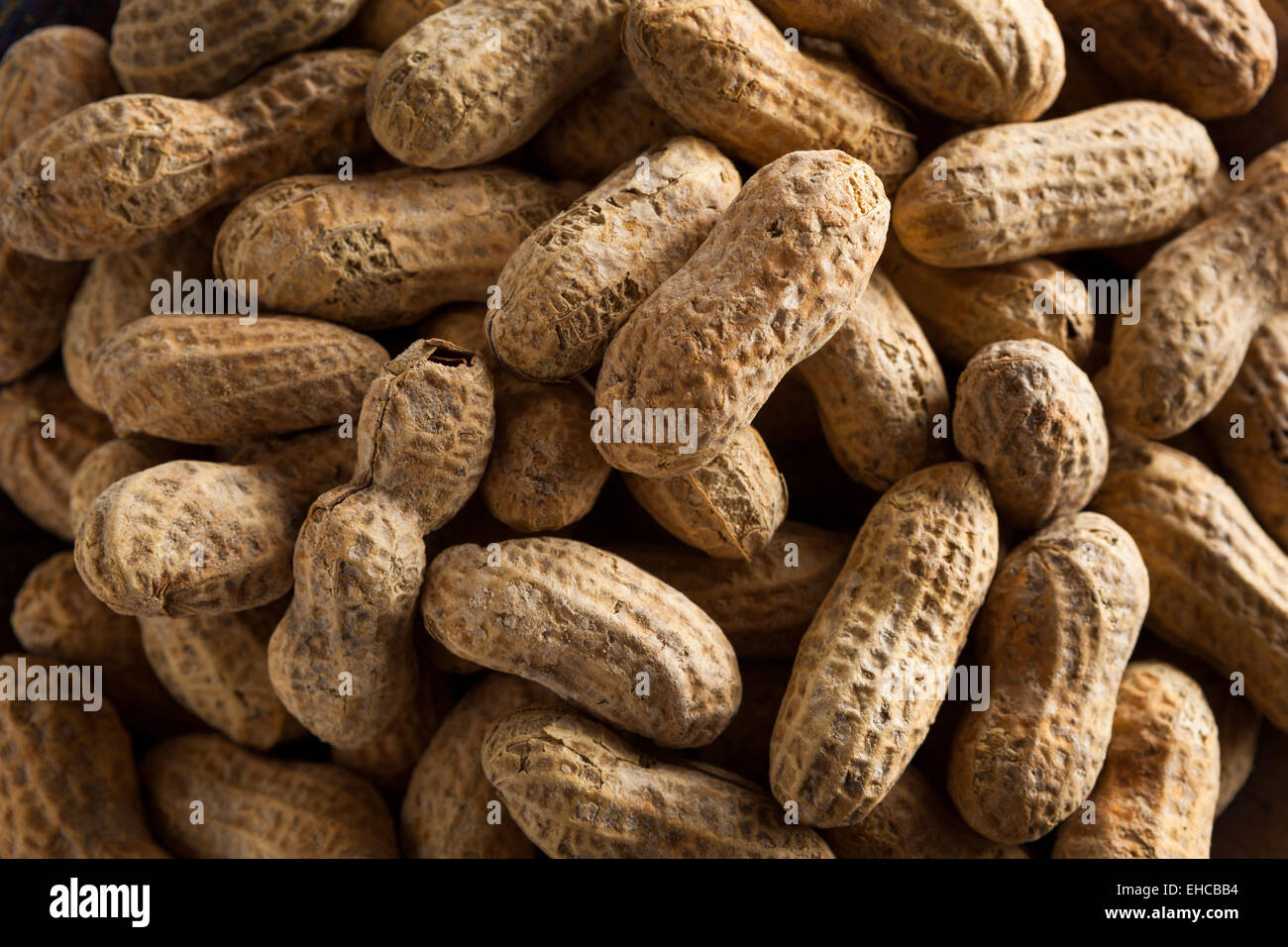 Salted Roasted Shelled Peanuts Ready to Eat Stock Photo Alamy