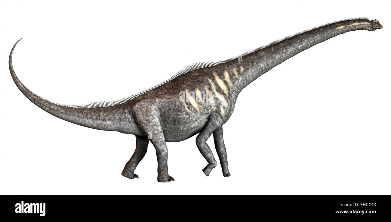 Sauroposeidon was a herbivorous sauropod dinosaur that lived in the Cretaceous Period of Oklahoma in North America. Stock Photo