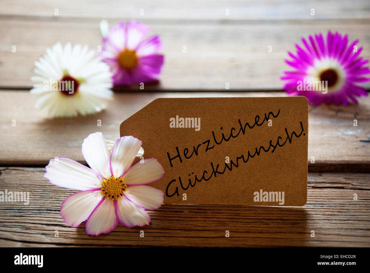 Brown Label With German Text Herzlichen Glueckwunsch Means Best Wishes With Purple And White Cosmea Blossoms On Wooden Backgroun Stock Photo