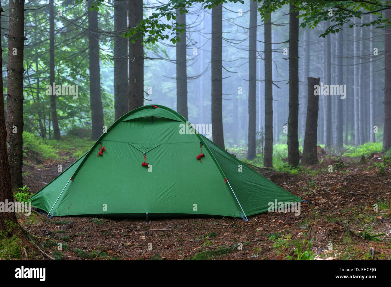 green tent on forest closeup Stock Photo