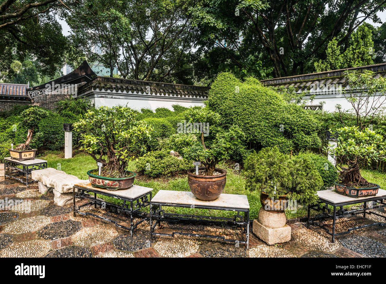 bonsai garden Kowloon Walled City Park in Hong Kong Stock Photo