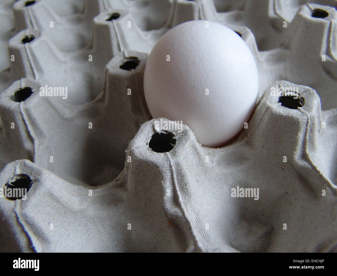 chicken eggs Stock Photo