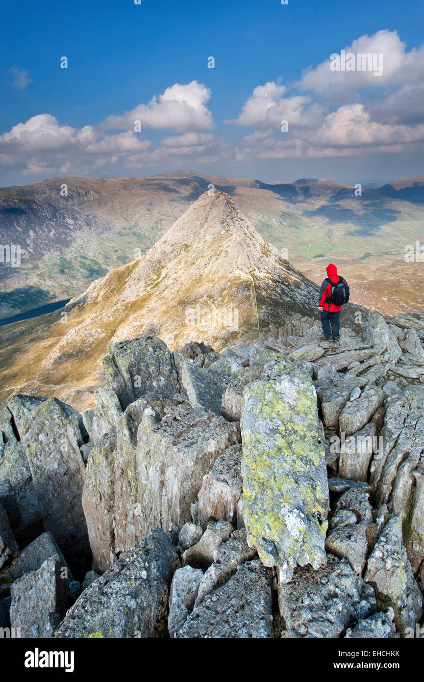 Walker Overlooking Tryfan & The Ogwen Valley from Bristly Ridge, Snowdonia National Park, North Wales, UK Stock Photo