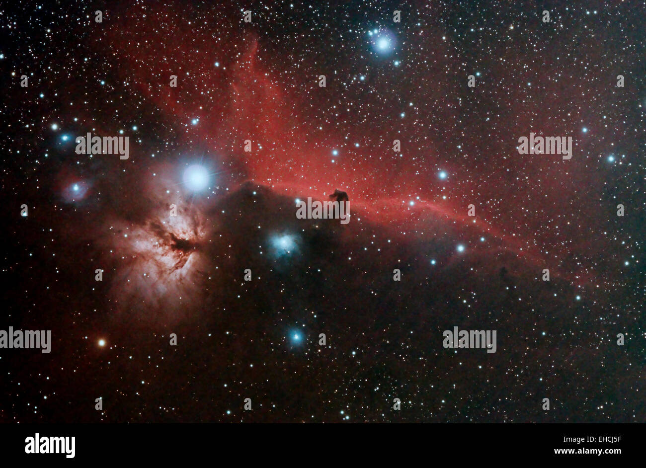 Horsehead and Flame Nebulae in the Constellation of Orion Stock Photo